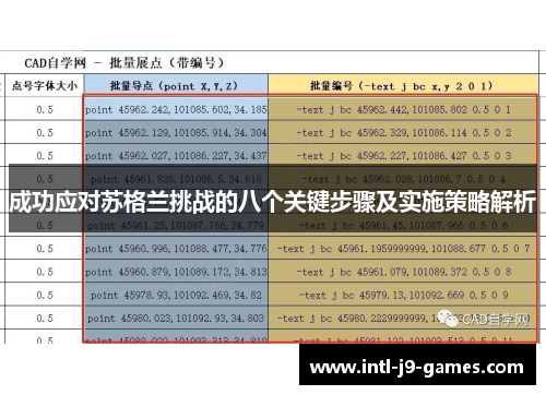成功应对苏格兰挑战的八个关键步骤及实施策略解析