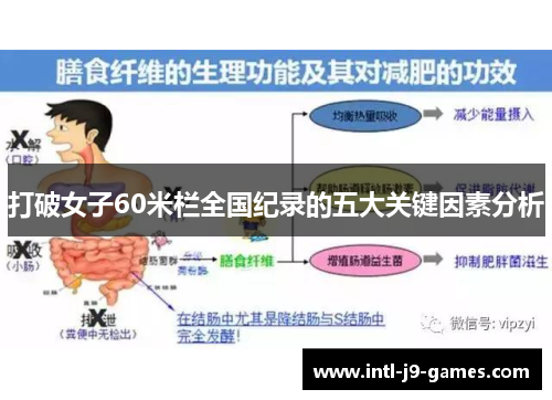 打破女子60米栏全国纪录的五大关键因素分析